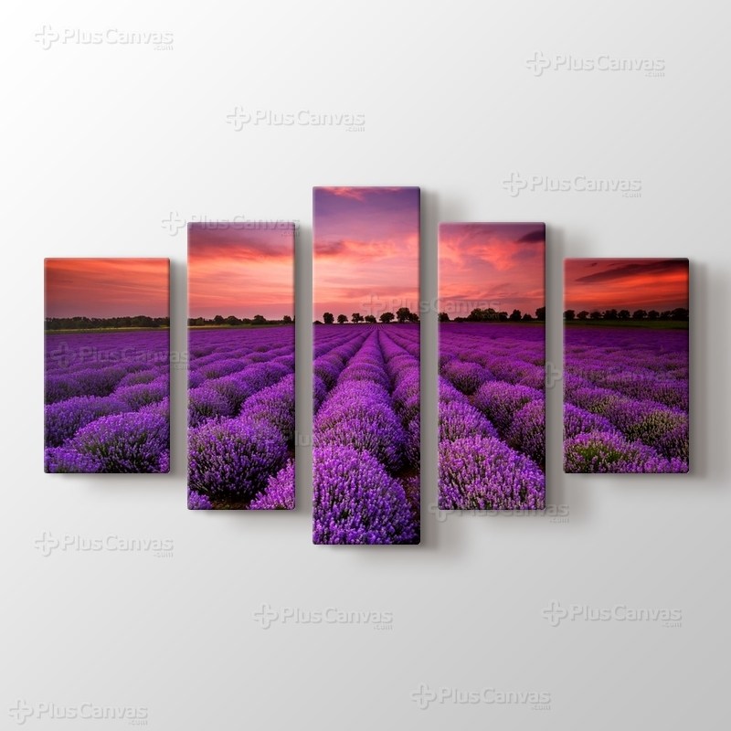 Lavanta tarlasında gün batımı görseli.