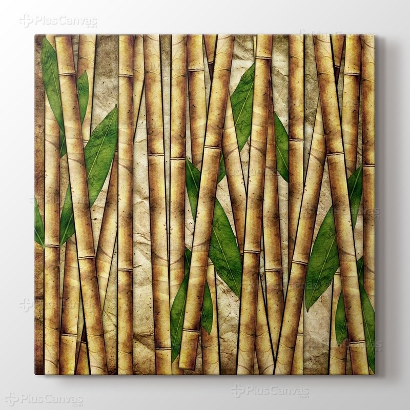 Bamboo görseli.