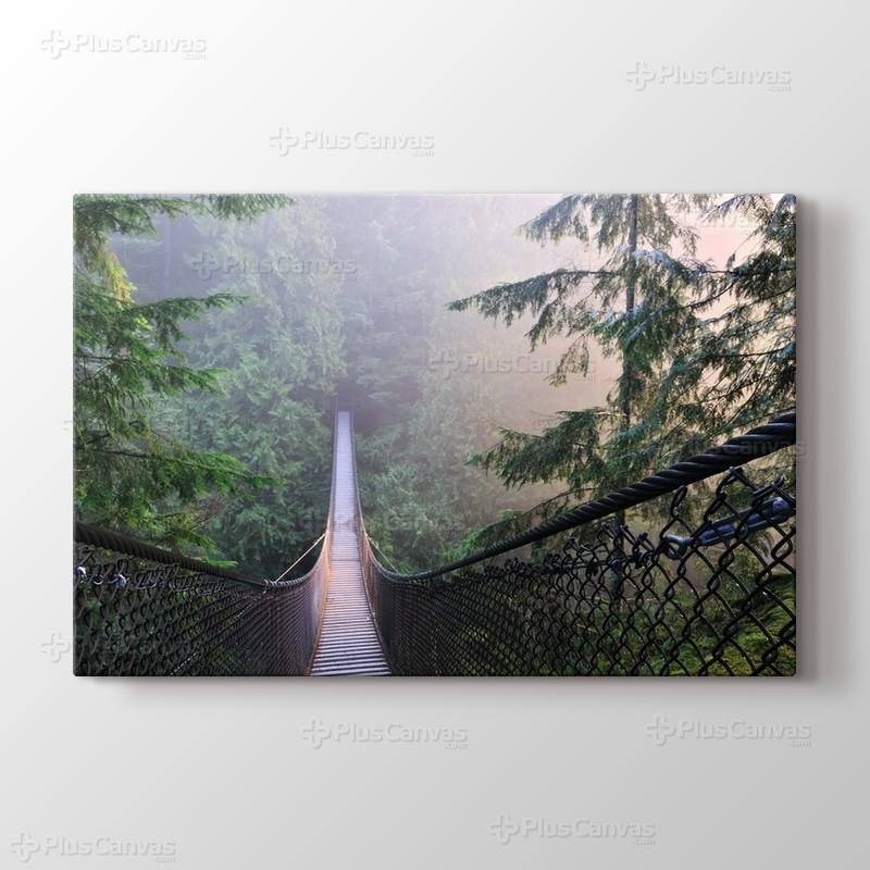 Kanada Lynn Canyon Park görseli.