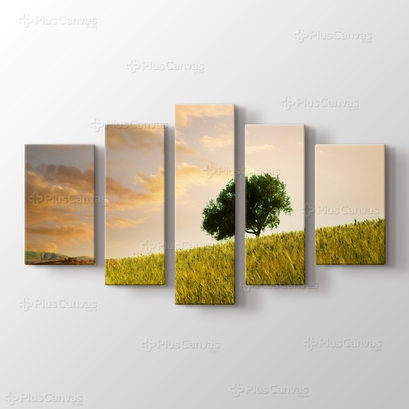 Sloping Land görseli.