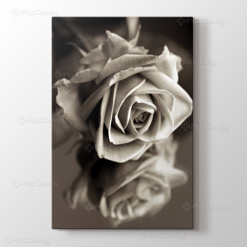 Sephia Flower Close-Up görseli.