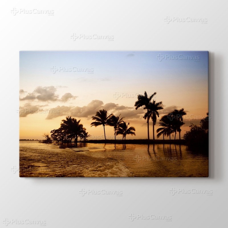 Palms in Ocean görseli.