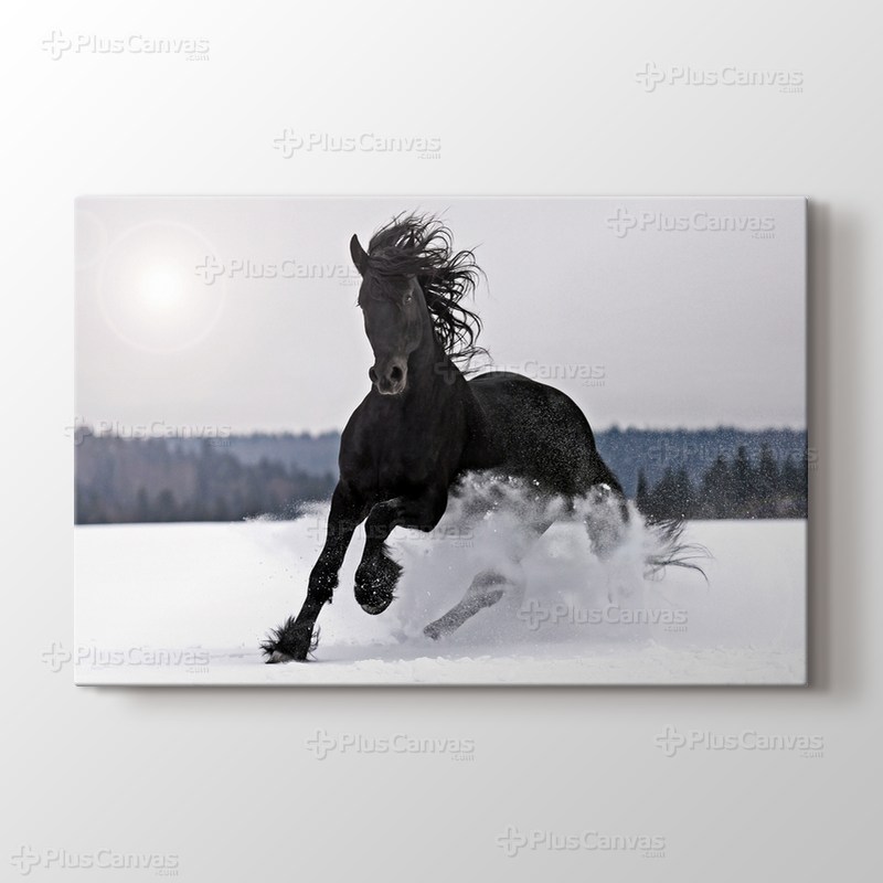 Strong Black görseli.