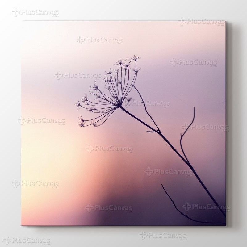 Çiçek Dalı görseli.