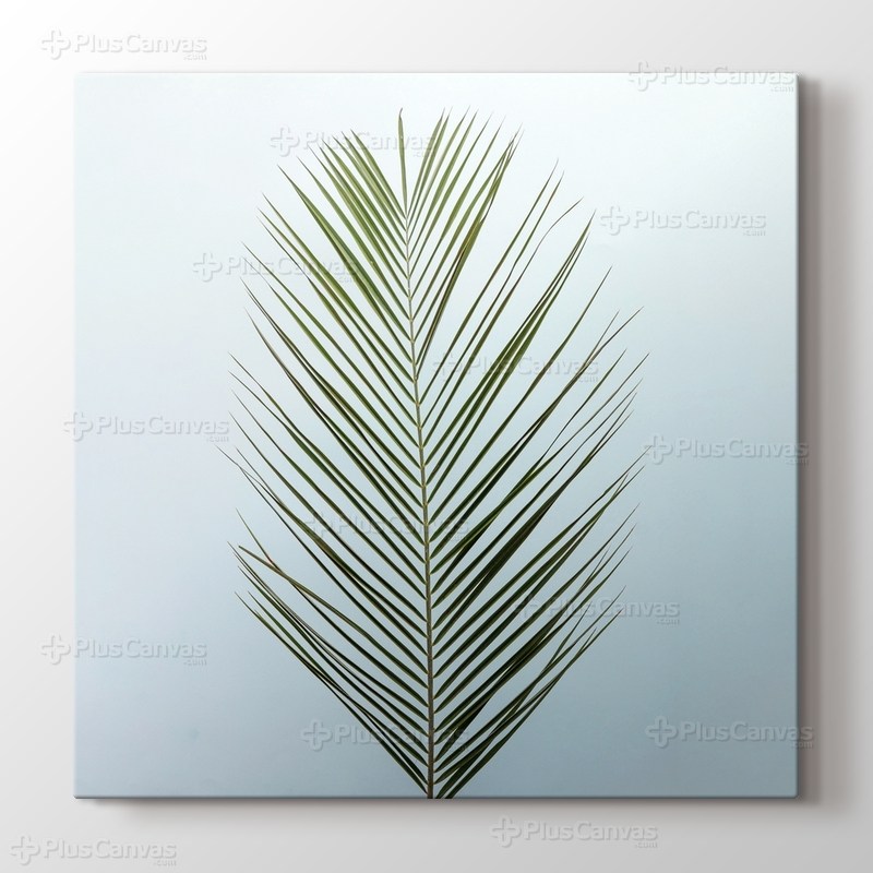 Palm Leaf görseli.