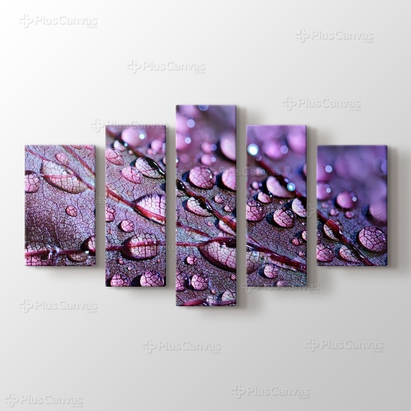 Aqua Drops görseli.