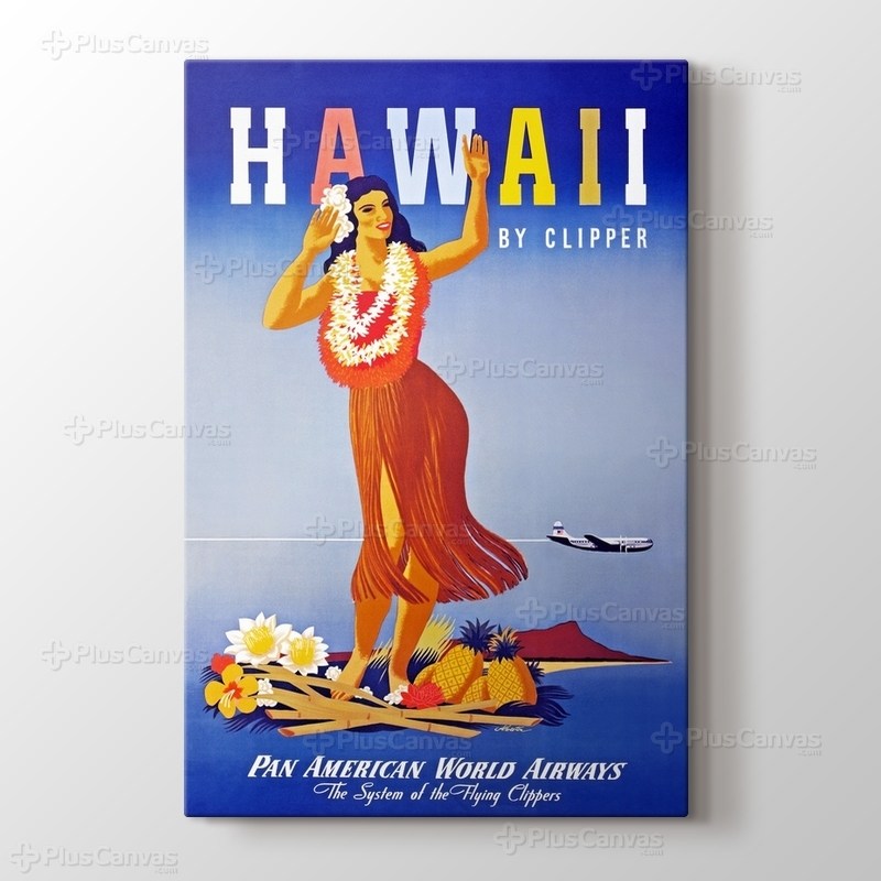 Hawaii Vintage Posteri görseli.