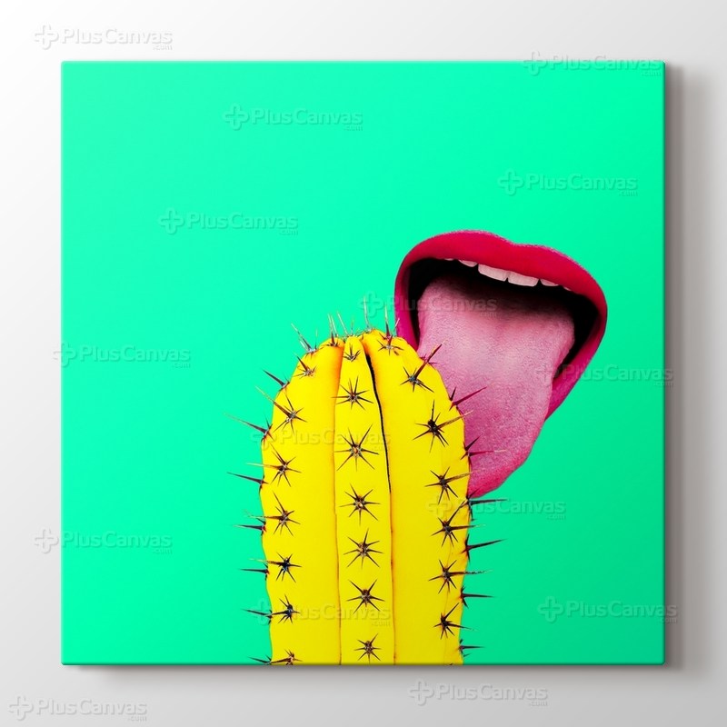 Yummy Cactus görseli.