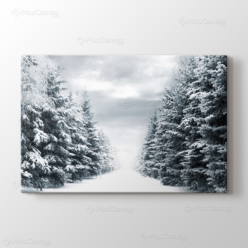 Snowy Road Between Trees görseli.