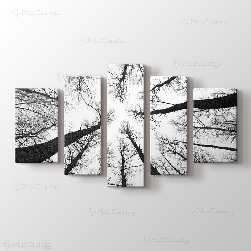 Long Trees görseli.