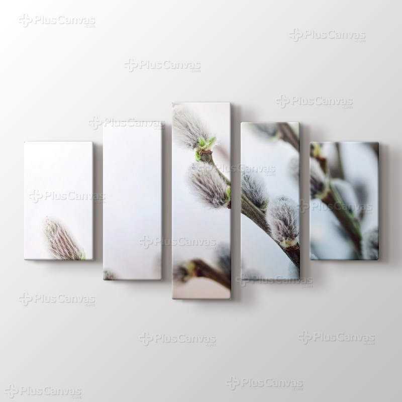 Söğüt Çiçeği görseli.