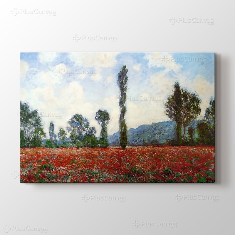 Campo di Papaveri görseli.