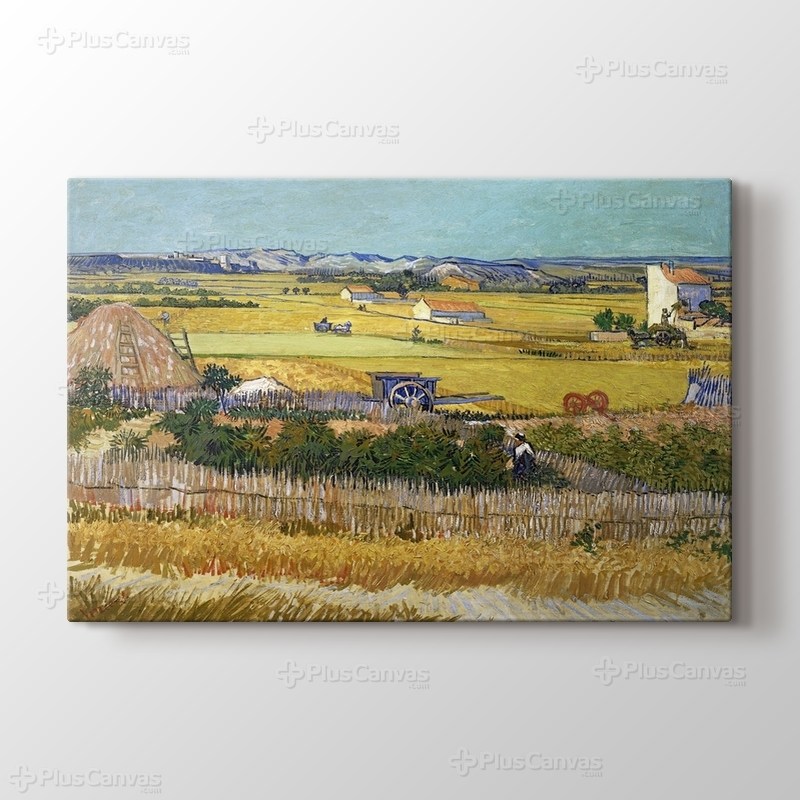 The Reaping görseli.