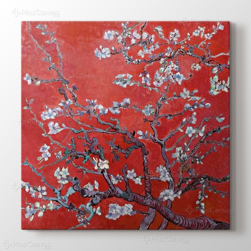 Çiçek açan badem ağacı görseli.