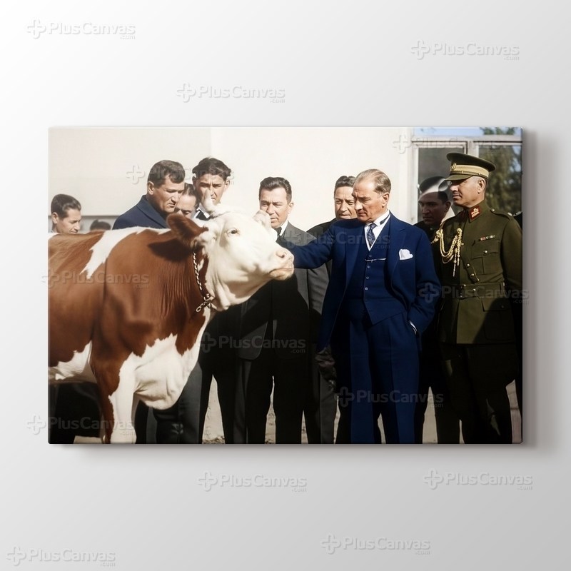 Atatürk Gazi Orman Çiftliği görseli.