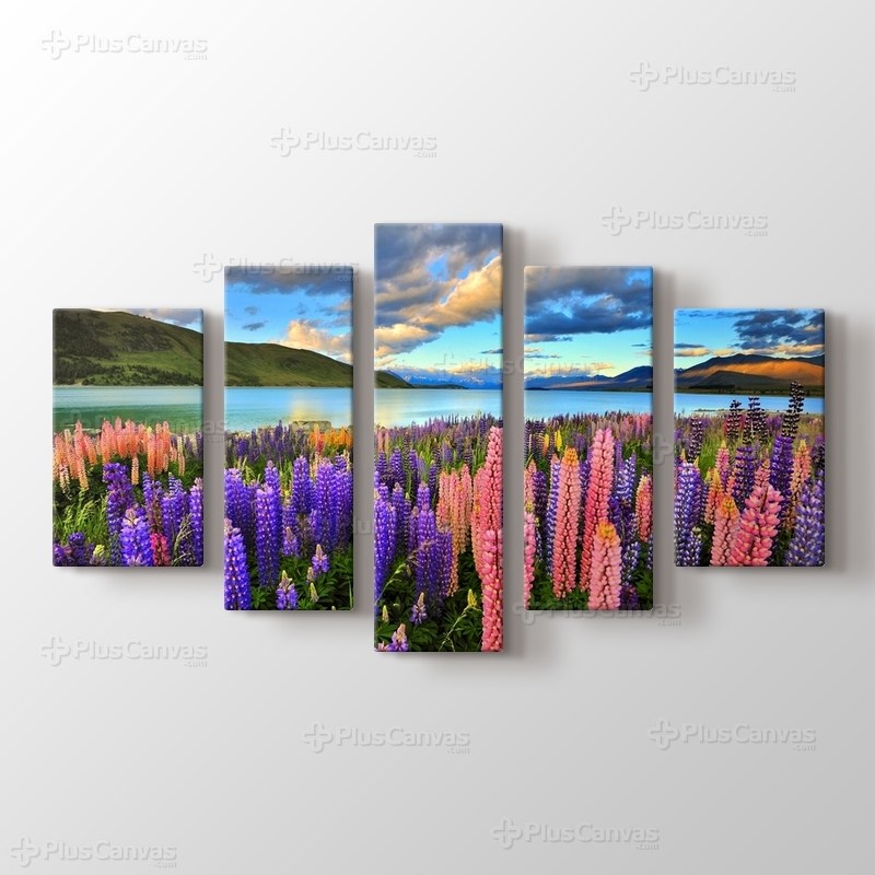 Lake Tekapo - New Zealand görseli.