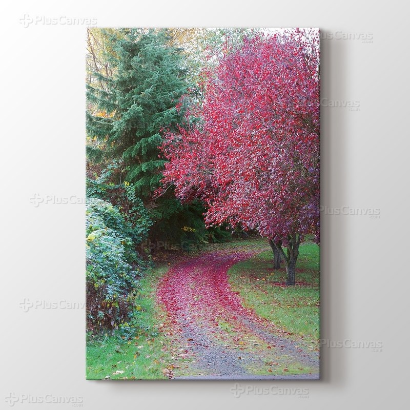 Seattle - Autumn görseli.