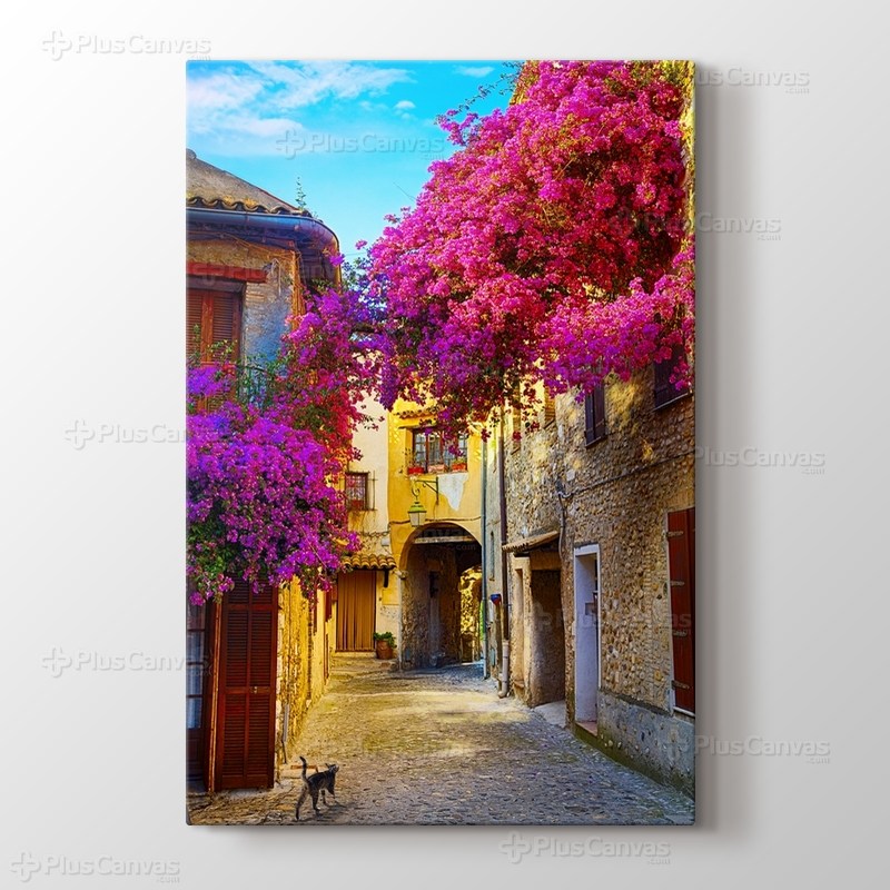 Erguvan ve Provence Sokakları görseli.