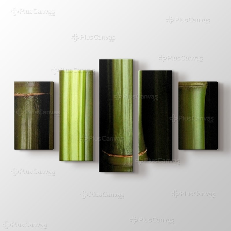 Bamboo görseli.