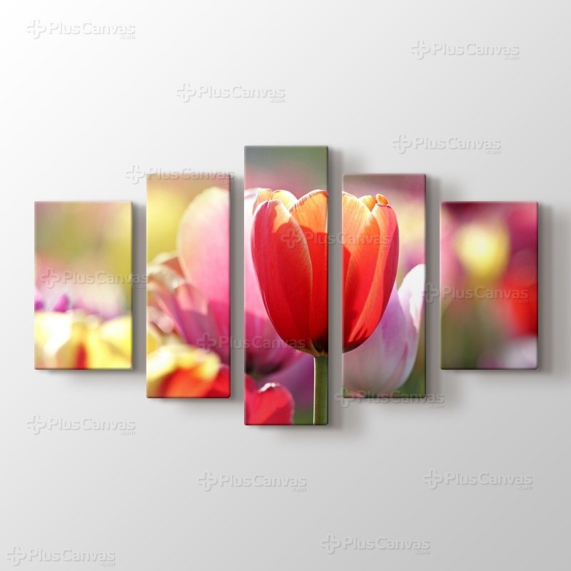 Tulips görseli.