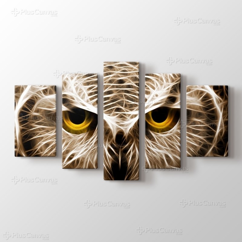 CloseUp Owl görseli.