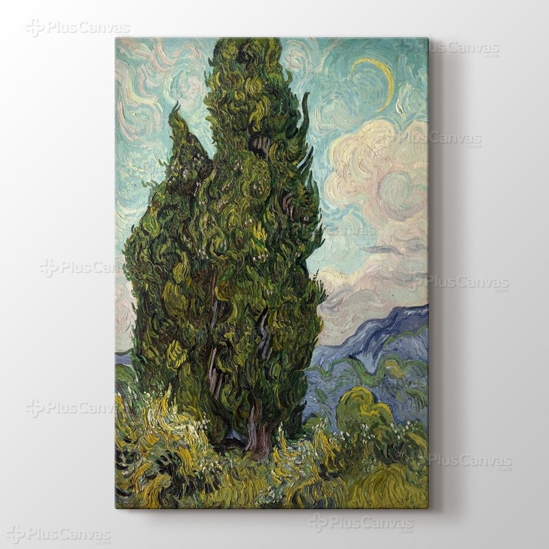 Cypresses görseli.