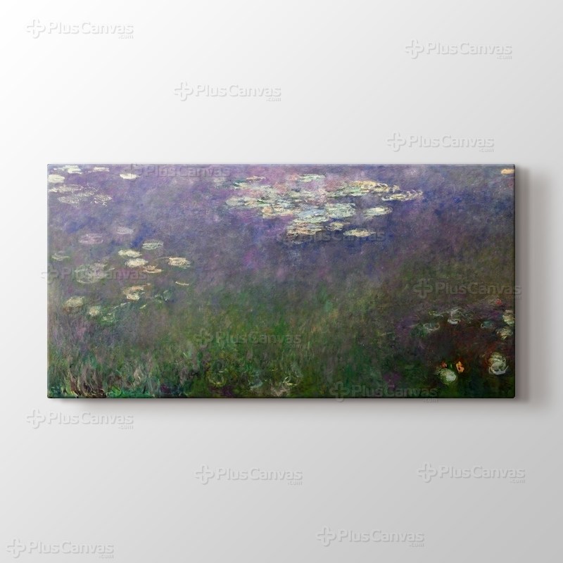 Water Lilies - Agapanthus görseli.