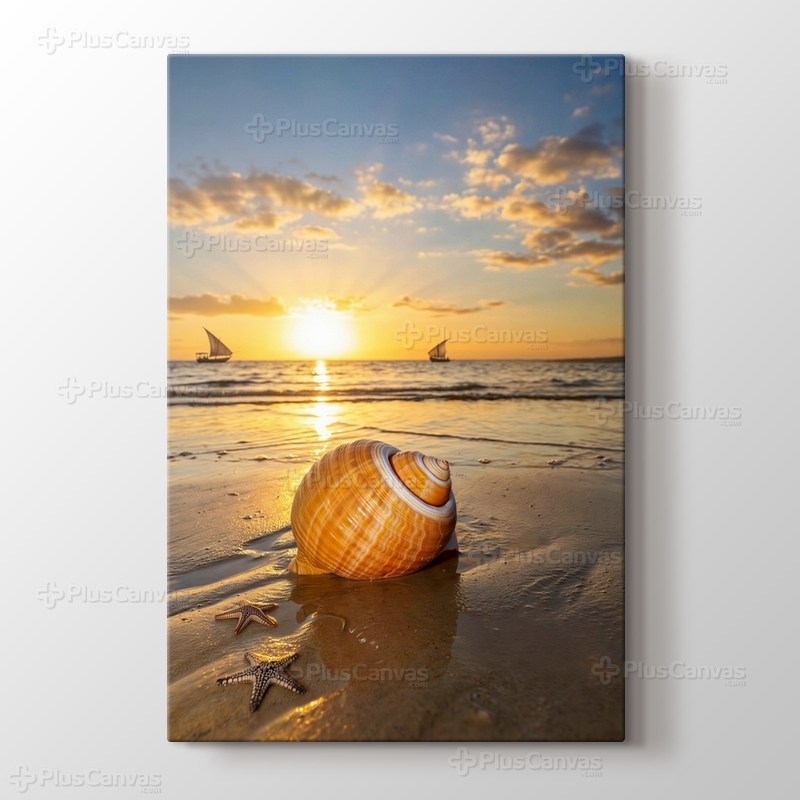 Sea Shell on Sand görseli.