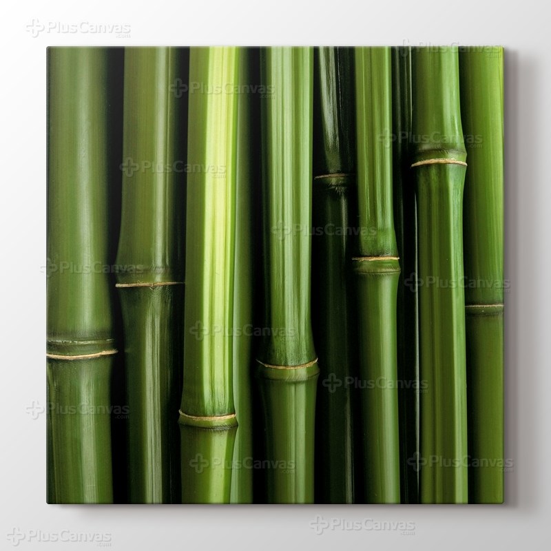 Bamboo görseli.