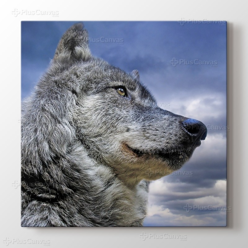 Wild Wolf görseli.
