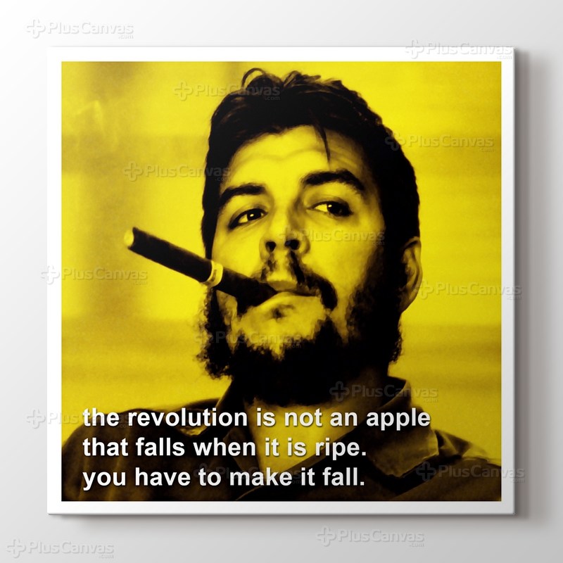 Revolution görseli.