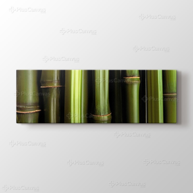 Bamboo görseli.