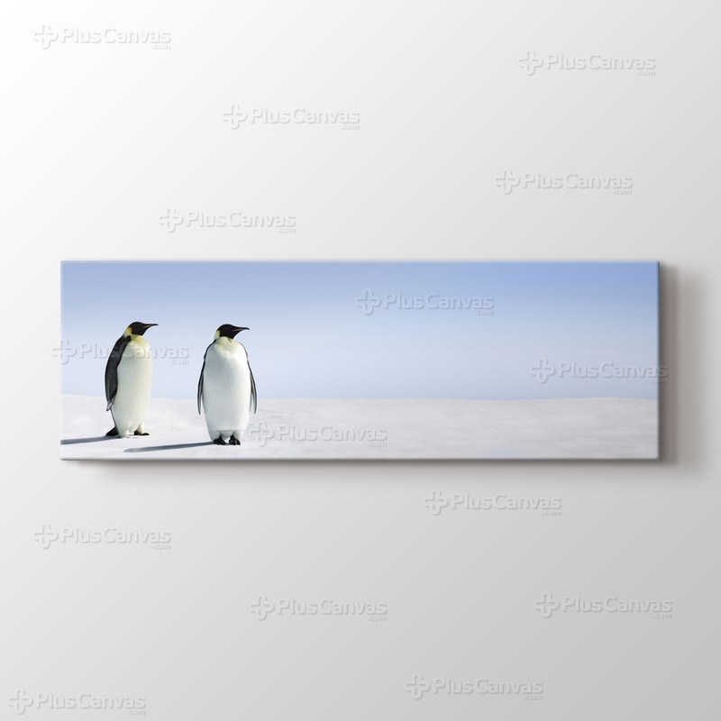 Penguins görseli.