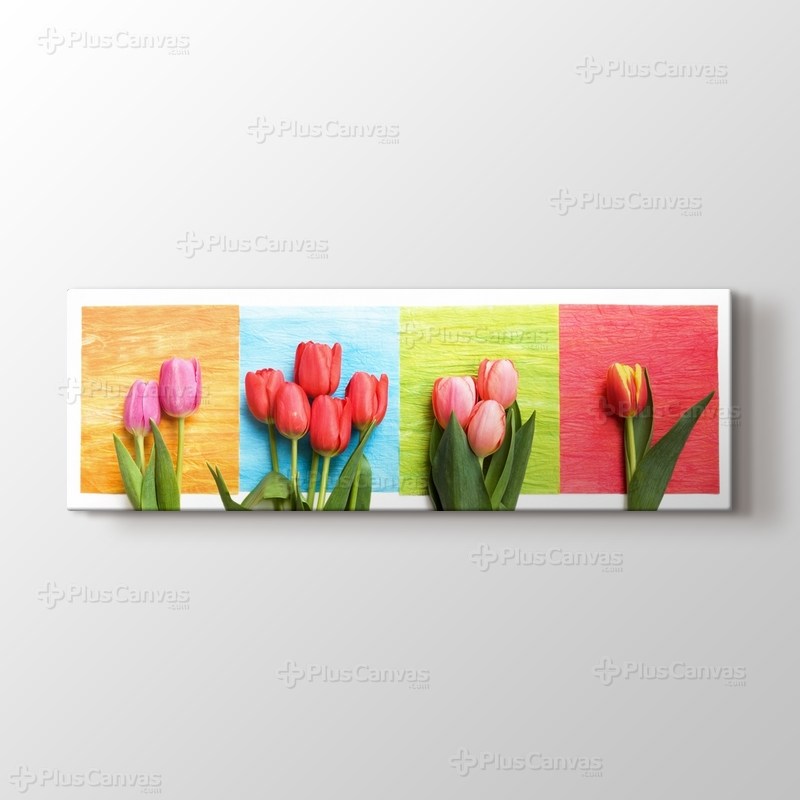 Four Tulips görseli.