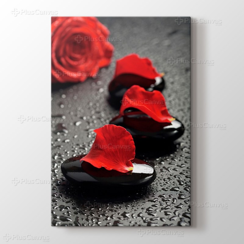 Black Pebbles and Red Rose görseli.