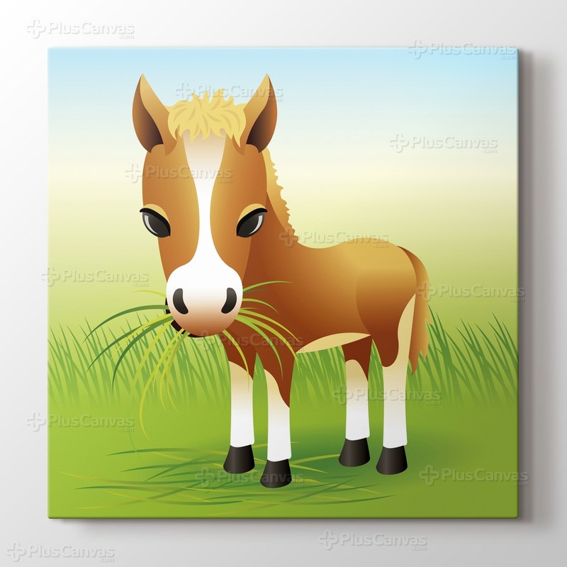 Donkey görseli.