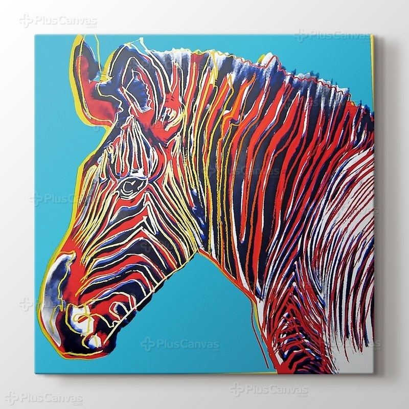 Zebra görseli.