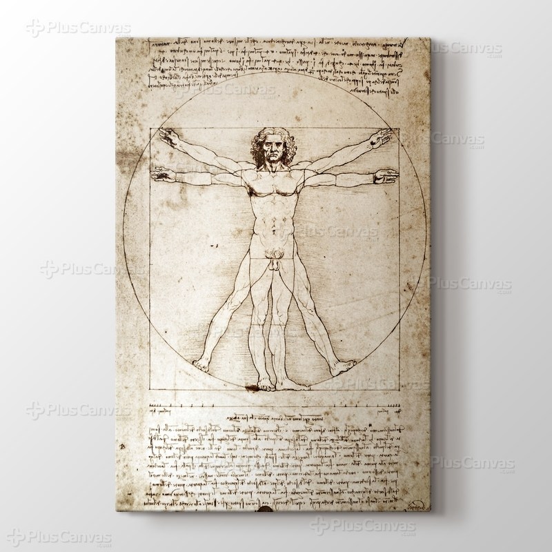 The Vitruvian Man 1498 görseli.