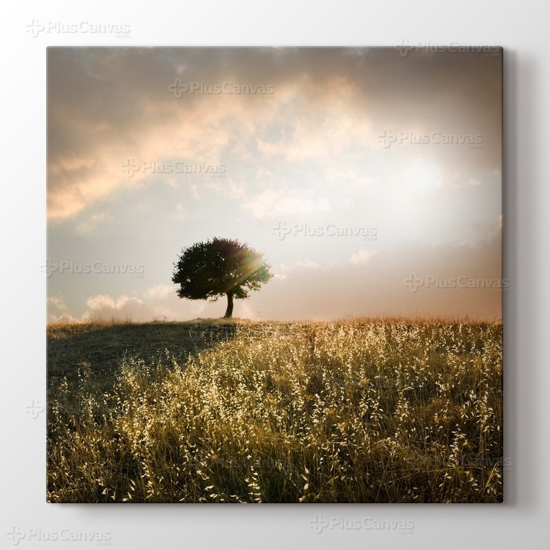 Loner Tree görseli.