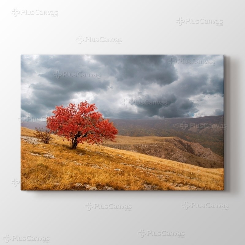 Red Tree görseli.