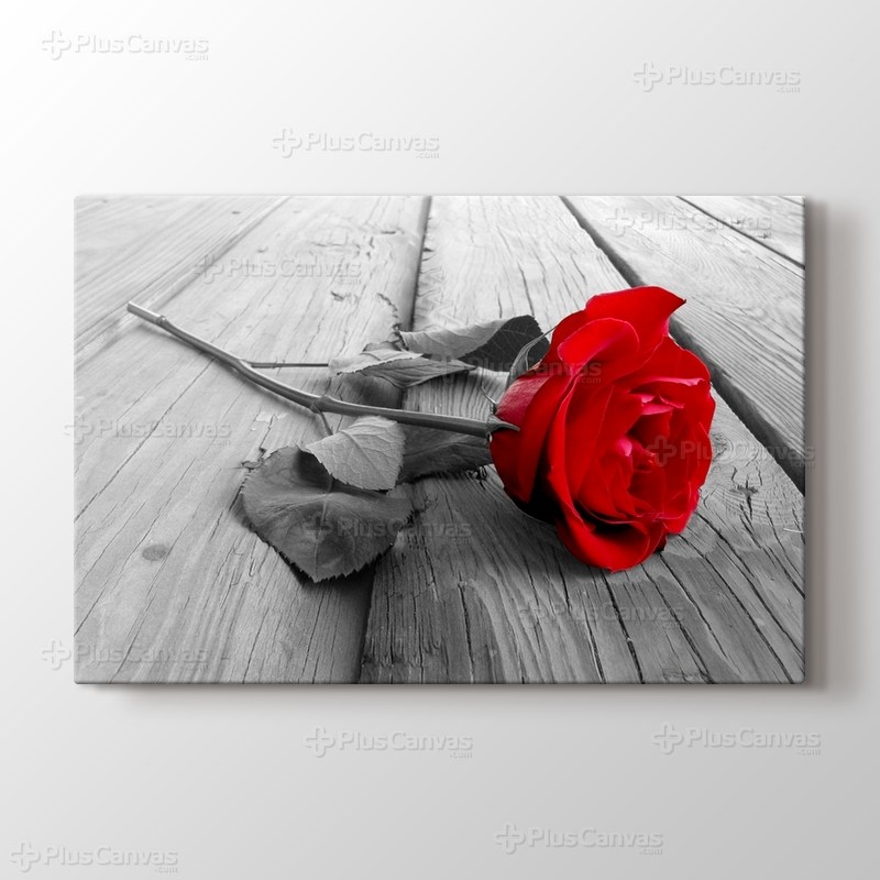Red Rose on Wood görseli.