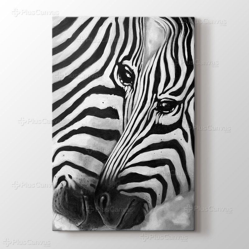 Zebra görseli.