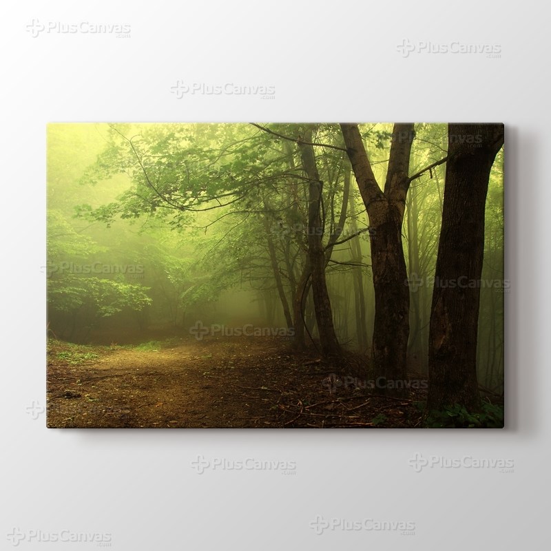 Green Forest With Fog görseli.