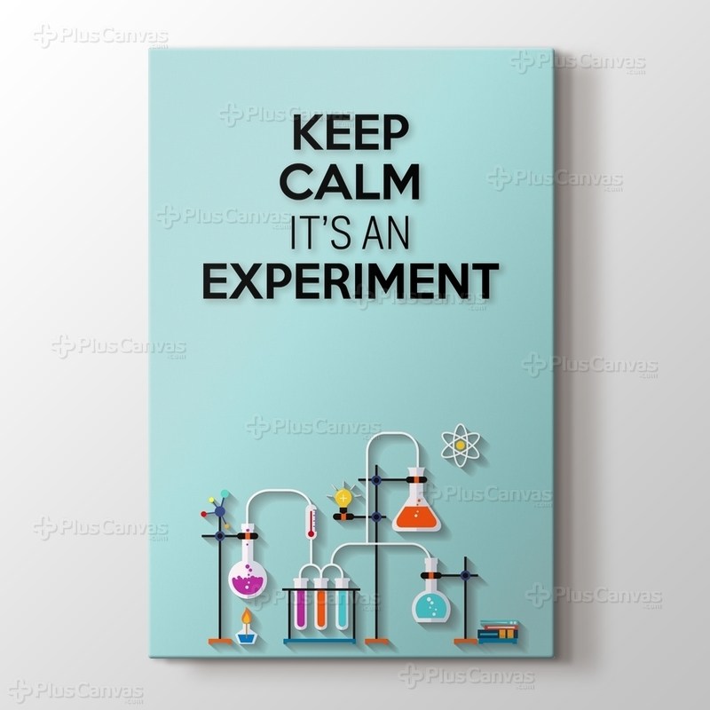 Experiment görseli.
